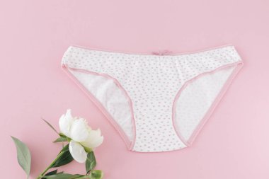 Pembe arka planda şakayık çiçekli bikinili pamuk külot. Kadın iç çamaşırı. Üst görünüm.