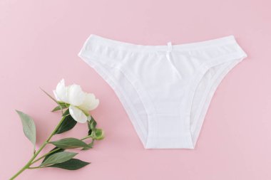 Pembe arka planda şakayık çiçekli bikinili pamuk külot. Kadın iç çamaşırı. Üst görünüm.