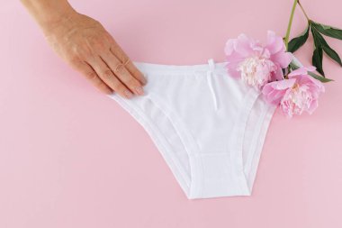 Pembe arka planda, üzerinde şakayık çiçekleri olan bikinili pamuk külot tutan bir kadın eli. En iyi günlük iç çamaşırları. Üst görünüm.