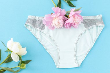 Mavi arka planda şakayık çiçekleri olan kısa bikinili pamuk külot. Kadın iç çamaşırı. Üst görünüm.