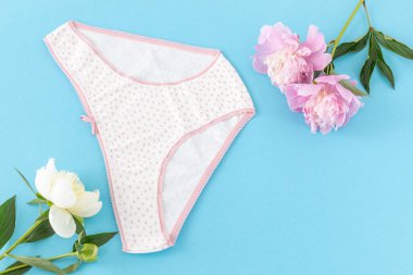 Mavi arka planda şakayık çiçekleri olan kısa bikinili pamuk külot. Kadın iç çamaşırı. Üst görünüm.