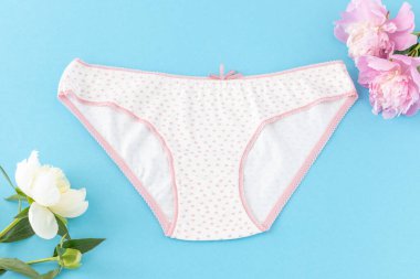 Mavi arka planda şakayık çiçekleri olan kısa bikinili pamuk külot. Kadın iç çamaşırı. Üst görünüm.