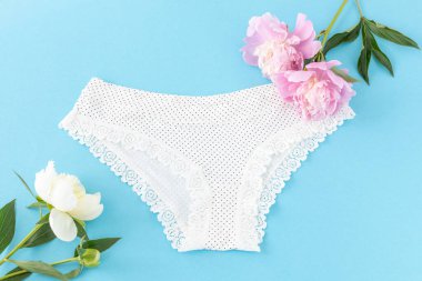 Mavi arka planda şakayık çiçekleri olan kısa bikinili pamuk külot. Kadın iç çamaşırı. Üst görünüm.