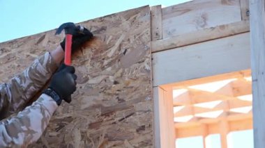 Marangoz, OSB panelinin duvarına çivi çakıyor. Ahşap çerçeve inşa eden işçilere yakın çekim. Marangozluk ve inşaat konsepti.