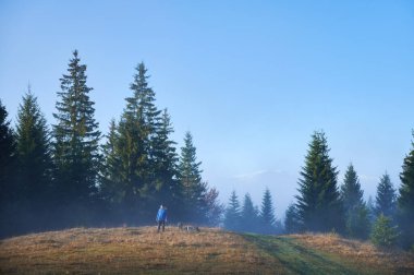Picturesque landscape of mountain valley with coniferous trees and man traveler with camera