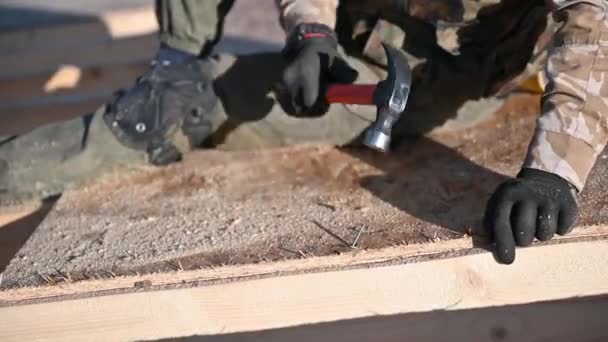木匠把钉子钉钉在未来村舍屋顶上的Osb面板上 关闭男工建筑木制框架屋 木工和建筑概念 — 图库视频影像