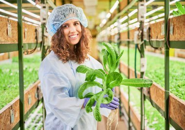 Serada elinde yeşil roka bitkisi olan kadın bahçıvan. İş yerindeki kadın portresi kameraya bakıp gülümsüyor ve rafların arasında bitkilerle yan yana duruyor..