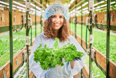 Yeşil yapraklı bitki tutan neşeli kadın bahçıvan. Salata soslu, kameraya bakıyor ve gülümsüyor. Seradaki bitkilerle rafların arasında duran genç kadın işçinin portresi..