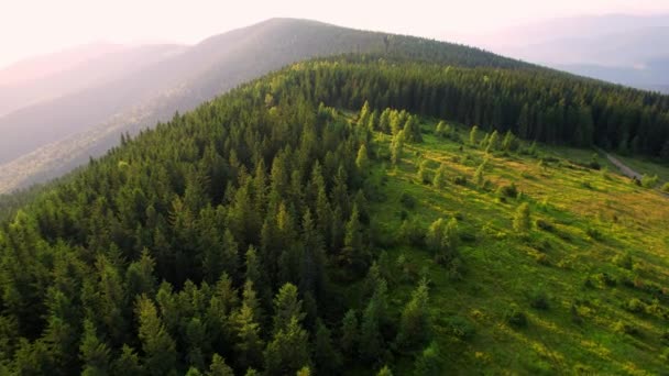 Безпілотне Відео Гірських Пагорбів Схилів Зеленою Травою Хвойними Деревами Стежкою — стокове відео