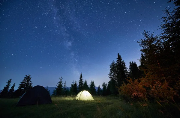 Krásná Krajina Travnatého Kopce Táborovými Stany Jehličnany Pod Noční Hvězdnou — Stock fotografie