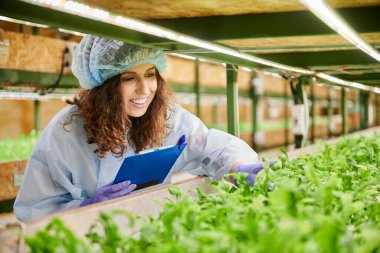 Neşe dolu kadın bitki gelişimini kontrol ediyor ve serada notlar alıyor. Tek kullanımlık kep ve bahçe eldivenleriyle yeşil yapraklı bitkilere bakıp panoya yazarken gülümseyen kadın araştırmacı..