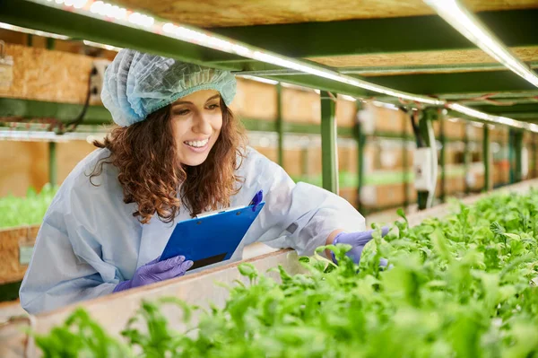 Neşe dolu kadın bitki gelişimini kontrol ediyor ve serada notlar alıyor. Tek kullanımlık kep ve bahçe eldivenleriyle yeşil yapraklı bitkilere bakıp panoya yazarken gülümseyen kadın araştırmacı..
