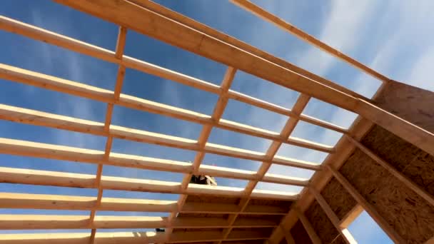 将来のコテージの屋根にOsbパネルを搭載する大工のタイムラウンド 木製のフレームハウスを建設する労働者 カーペントリー コンセプト — ストック動画