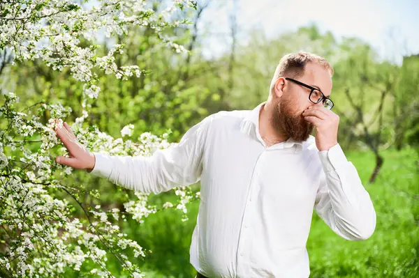stock image Man allergic suffering from seasonal allergy at spring in blossoming garden at springtime. Bearded man with glasses sneezing, closing nose by hand in front of blooming tree. Spring allergy concept