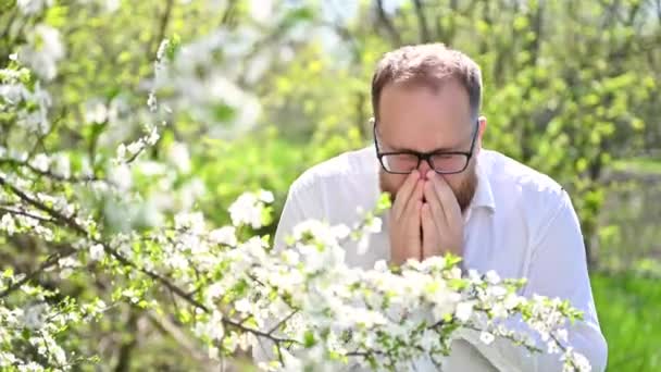 Άνθρωπος Αλλεργικός Φτάρνισμα Από Εποχιακή Αλλεργία Την Άνοιξη Ανθίζοντας Κήπο — Αρχείο Βίντεο