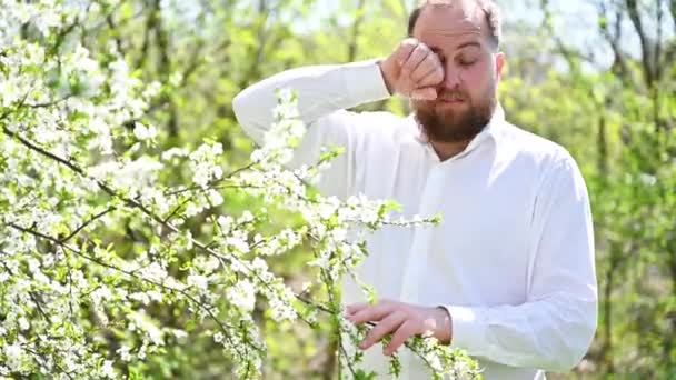 Человека Аллергия Сезонную Аллергию Весной Цветущем Саду Весной Бородатый Человек — стоковое видео