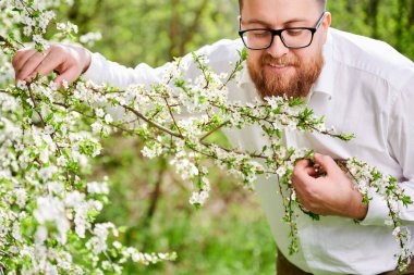 Alerjisi olan bir adam bahar mevsimsel alerjisinden zevk alıyor. Baharda çiçek açan ağacın önünde gülümseyen ve çiçekleri koklayan mutlu sakallı adamın portresi. Bahar alerjisi konsepti.