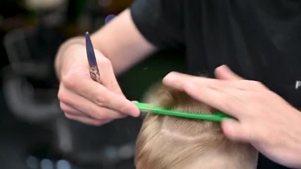 Man Barber Cutting Little Boys Hair Using Comb Scissors Child — Stock Video