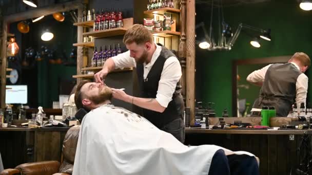 Professional Hairdresser Using Comb Scissors Shape Beard Handsome Customer Getting — Stock Video