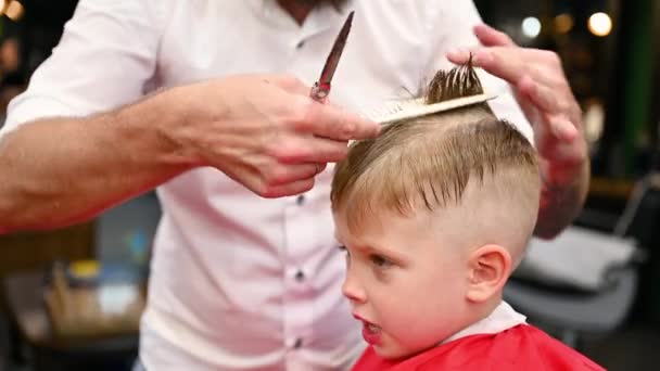 Man Barber Cutting Little Boys Hair Using Comb Scissors Close — Stock Video