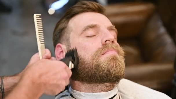 ハンサムな客がひげを剃った ベテランのバーバーのクローズアップは ひげをトリミングするために櫛と電気カミソリを使用しています 床屋の男性クライアント — ストック動画