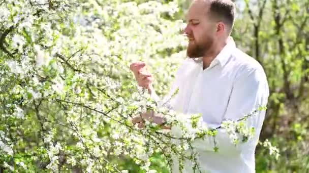Tıbbi Burun Damlası Kullanan Alerjik Bir Adam Baharda Çiçek Açan — Stok video
