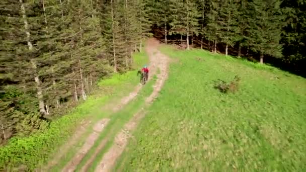 屋外で電動マウンテンバイクに乗っているサイクリストマン 山の草のトレイルに沿った男性観光バイクの空中ビュー ヘルメットとバックパックを着用 スポーツ アクティブレジャー 自然のコンセプト — ストック動画