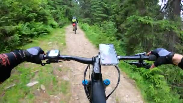 관점입니다 숲에서 자전거를 자전거 자전거 핸들에 스마트 모험의 — 비디오