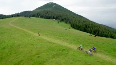 Dışarıda elektrikli bisiklet süren bir grup bisikletçi. Erkek turistlerin yazın dağlarda çimenli patikada bisiklet sürüşlerini gösteren hava manzarası. Spor anlayışı, aktif eğlence ve doğa.