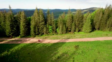Dışarıda elektrikli dağ bisikleti süren bisikletçi. Erkek turistin dağlardaki otlak patika boyunca bisiklet sürüşünü, kaskını ve sırt çantasını gösteren hava manzarası. Spor anlayışı, aktif eğlence ve doğa.