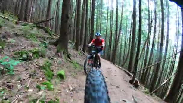 Ciclista Montando Bicicleta Montanha Elétrica Floresta Conceito Aventura Lazer Livre — Vídeo de Stock