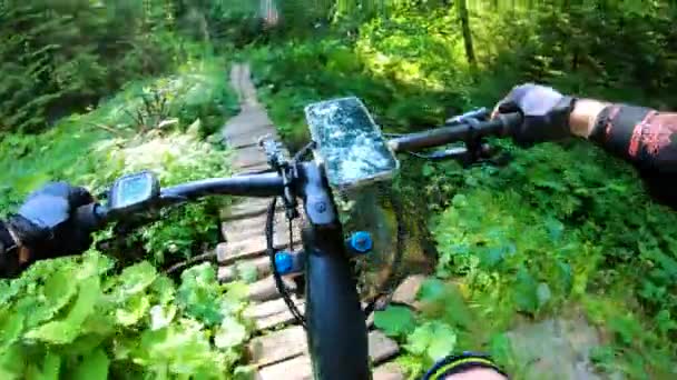 視点から 森の中の電動マウンテンバイクに乗るサイクリスト 自転車ハンドルバーのスマートフォン アドベンチャーのコンセプト アウトドアでのレジャー — ストック動画