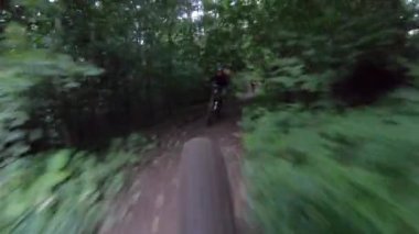 Ormanda elektrikli dağ bisikleti süren bisikletçiler. Macera kavramı, dışarıda boş zaman geçirmek..