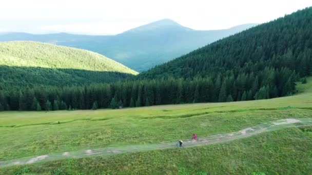 屋外で電動自転車に乗っているサイクリストのグループ 夏の山の草のトレイルで自転車を運転する男性の観光客の空中ビュー スポーツ アクティブレジャー 自然のコンセプト — ストック動画
