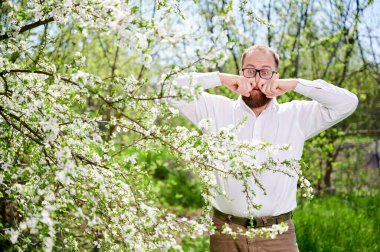 Man allergic suffering from seasonal allergy at spring in blossoming garden at springtime. Young bearded man with glasses having runny nose, closing nose by hands in front of blooming tree.
