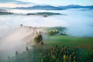 Kırsal kesimde sisli bir sabah havası. Sis bulutları yemyeşil tepeleri doldurur, ağaçlar ve birkaç ev ile benekler, güneş ışığı içinden geçerken sakin ve mistik bir atmosfer yaratır..