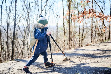 Orman yolunda yürüyüş yapan küçük bir çocuk, mavi kış ceketiyle sarılıp sarmalanmış, kürk kapüşonlu ve yeşil çizgili bereli. Çocuk iki yürüyüş direği tutuyor ve açık havada güneşli günün tadını çıkarıyor..