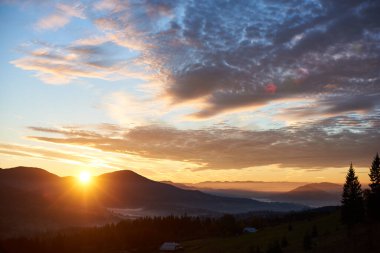Güneş, yuvarlanan tepelerin üzerinden yükselir ve manzarada sıcak altın parıltısını yaratır. Yumuşak sis battaniyeleri vadi, renkler ağaçları süslüyor. Siluetli çam ağaçları ve birkaç dağınık ev sabah manzarası ekler..