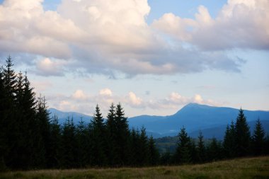Huzurlu manzara ön planda daima yeşil ağaçlar, gökyüzünün altındaki uzak dağlar, tüylü bulutlarla dolu, huzurlu ve resimsel bir manzara yaratıyor..