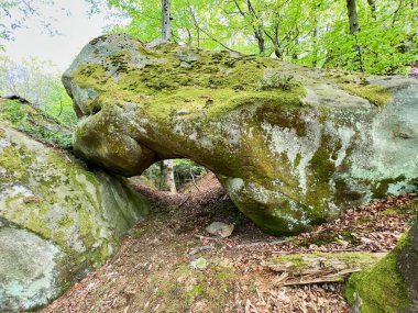 Yeşillik, yemyeşil ormanda doğal kaya oluşumu. Yosun kaplı kaya kemer yolu oluşturarak altında tünel benzeri bir geçit oluşturur. Zemin yapraklarla kaplı. Karpat Dağları, Ukrayna.
