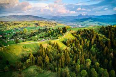 Ukrayna 'nın yemyeşil tarlaları, sık ormanları ve gökyüzü altında dramatik bulutlarla dolu dağınık evleri ile hava manzaralı kırsal manzarası. Uzak ufukta karla kaplı dağlar.