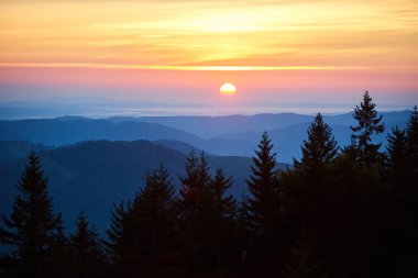 Gün batımında güneş, sıcak sarı, turuncu ve pembe renkleri gökyüzüne yansıtıyor. Uzak dağların katmanları arkaplan oluştururken, önplandaki yüksek çam ağaçları nefes kesici manzaraya derinlik katar.