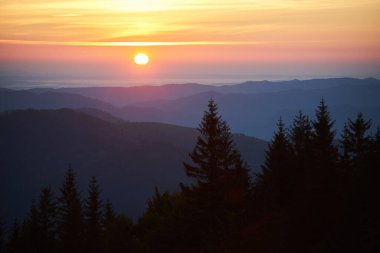 Gün batımında güneş, sıcak sarı, turuncu ve pembe renkleri gökyüzüne yansıtıyor. Uzak dağların katmanları arkaplan oluştururken, önplandaki yüksek çam ağaçları nefes kesici manzaraya derinlik katar.