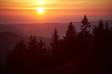 Güneş altın ve turuncu renklerde parlıyor, gökyüzünü aydınlatıyor ve manzaranın üzerine sıcak bir parıltı saçıyor. Siluet çam ağaçları, yuvarlanan tepelerin zeminine karşı dimdik durur ve büyüleyici bir manzara yaratır..