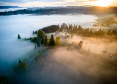 Sisin ağaçların arasına yerleştirilmiş küçük ev kümelerinin etrafında döndüğü sakin sabah manzarası. Gün doğumunda ılık bir sis parlar, yeşillikle harmanlanır ve rüya gibi bir sahne yaratır..