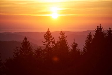 Güneş altın ve turuncu renklerde parlıyor, gökyüzünü aydınlatıyor ve manzaranın üzerine sıcak bir parıltı saçıyor. Siluet çam ağaçları, yuvarlanan tepelerin zeminine karşı dimdik durur ve büyüleyici bir manzara yaratır..
