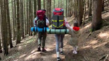 Küçük çocuk da dahil olmak üzere yürüyüşçülerin ailesi sık ormanlarda yürüyüş yapar. Anne ve baba kamp malzemeleriyle birlikte büyük sırt çantaları taşırlar. Aile macerası ve doğanın kalbindeki birliktelik.