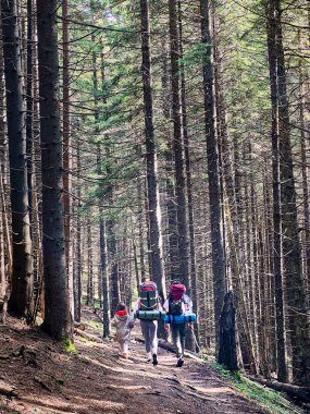 Kırmızı kapüşonlu ceketli çocuk ve büyük sırt çantaları taşıyan iki yetişkinin olduğu üç kişilik ailenin arka görünüşü sık ormanda toprak patika boyunca yürüyor. Uzun, düz ağaçlar sakin bir atmosfer yaratır..