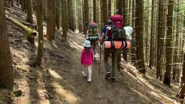 Küçük çocuk da dahil olmak üzere yürüyüşçülerin ailesi sık ormanlarda yürüyüş yapar. Anne ve baba kamp malzemeleriyle birlikte büyük sırt çantaları taşırlar. Aile macerası ve doğanın kalbindeki birliktelik.