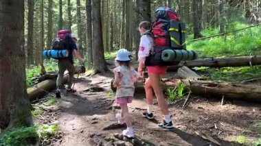 Küçük çocuk da dahil olmak üzere yürüyüşçülerin ailesi sık ormanlarda yürüyüş yapar. Anne ve baba kamp malzemeleriyle birlikte büyük sırt çantaları taşırlar. Aile macerası ve doğanın kalbindeki birliktelik.